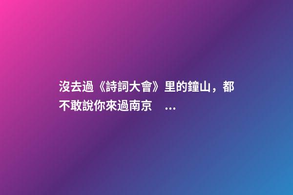 沒去過《詩詞大會》里的鐘山，都不敢說你來過南京！